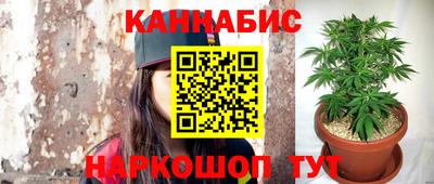 прущие грибы Краснокаменск