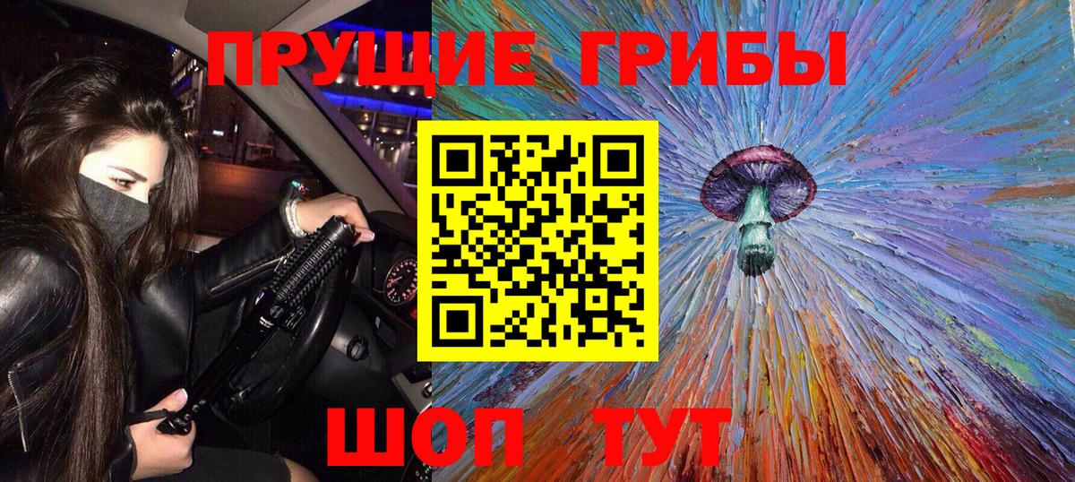 Галлюциногенные грибы Psilocybe Карабулак